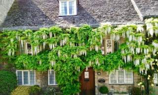 Manor Cottages