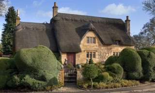 Manor Cottages