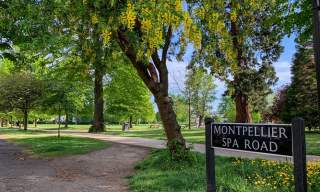 Montpellier Gardens