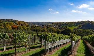 A Taste of the Undiscovered Cotswolds (Trade)
