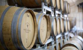 Vineyard Tour & Wine Tasting with Lunch