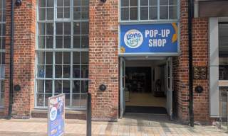Lions at Large pop-up shop