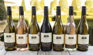 Wine Tours - Poulton Hill Estate
