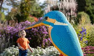 Summer Holidays: Brick Explorers