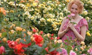 Festival of Roses