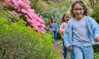 May Half Term: The Great Garden Game-a-thon