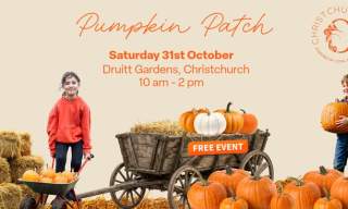 Christchurch BID Pumpkin Patch