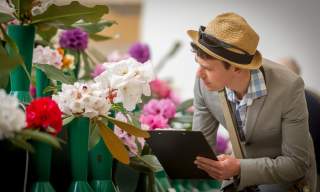 RHS National Rhododendron Show