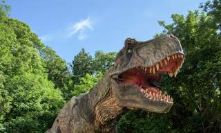 Combe Martin Wildlife and Dinosaur Park