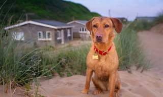 Saunton Beach Villas
