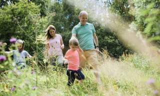 Woodland Wednesdays* at RHS Rosemoor