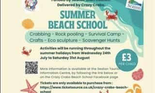 Crazy Crabs Beach School