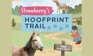 Strawberry's Hoofprint Trail