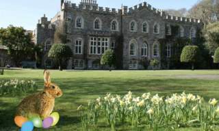 Easter Fun and Bluebells