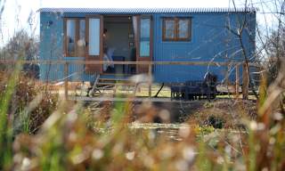 Stay at WWT Slimbridge
