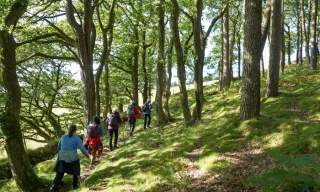 North Devon Walking Festival 2026