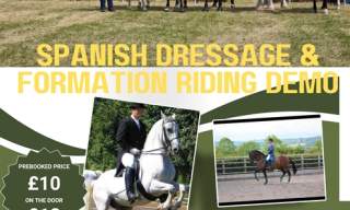 Spanish Dressage & Formation Horse Riding Demonstrations