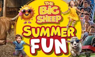 Summer Fun on the Farm