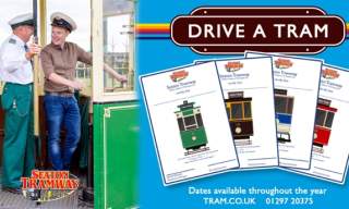 Full Day Tram Driving Lessons