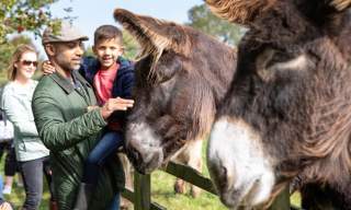 The Donkey Sanctuary Sidmouth