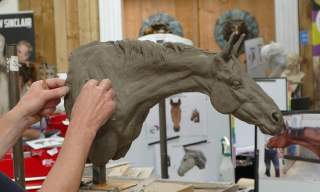 Animal Portrait Sculpture Course
