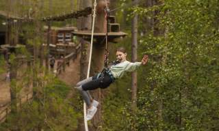 Go Ape Haldon