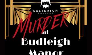 Murder at Budleigh Manor
