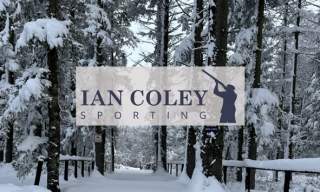 Ian Coley Christmas Market