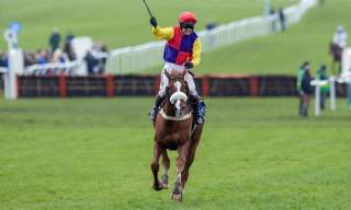 The Cheltenham Gold Cup