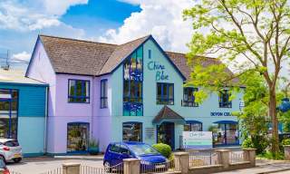 Pottery and Painting at China Blue, Totnes