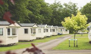 Forest Glade Holiday Park