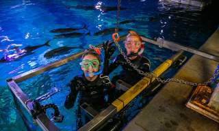 Snorkel at The National Marine Aquarium
