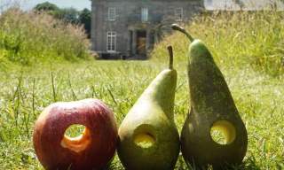 The Very Hungry Caterpillar™ at Arlington Court