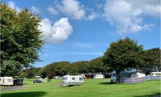 Stowford Farm Meadows