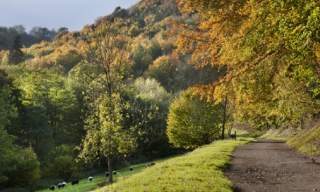 Woodchester Park (National Trust)