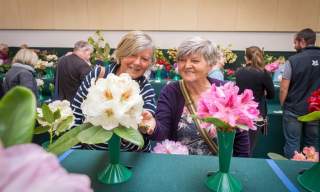RHS National Rhododendron Show