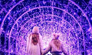 RHS Glow Illuminations