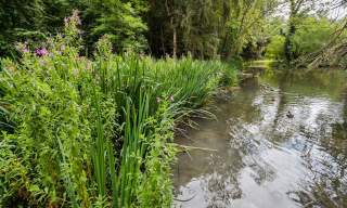Wychwood Wild Garden