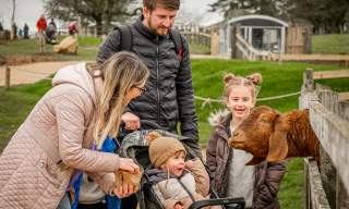 May Half Term at Cotswold Farm Park