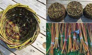 Willow Basket Weaving Workshop