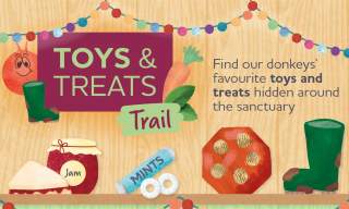Toys and Treats - Winter Trail