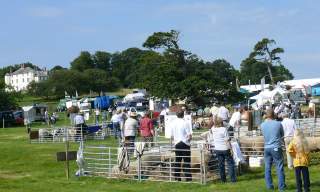 Woolsery Agricultural Show, in aid of local charities