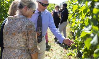 Woodchester Valley Vineyard