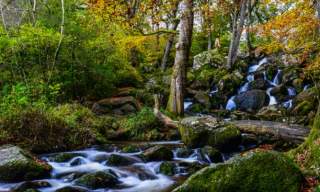 Becky Falls Dartmoor