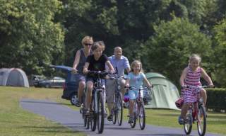 Lady's Mile Holiday Park