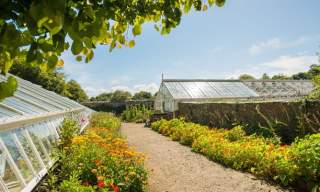 Clovelly Court Gardens