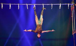 Circus Extreme