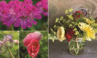 Flower arranging & forage workshop with a cream tea