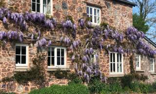 Fursdon Cottage
