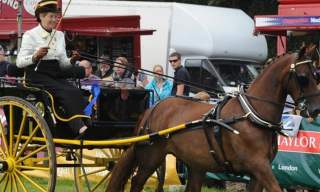 The Honiton Show